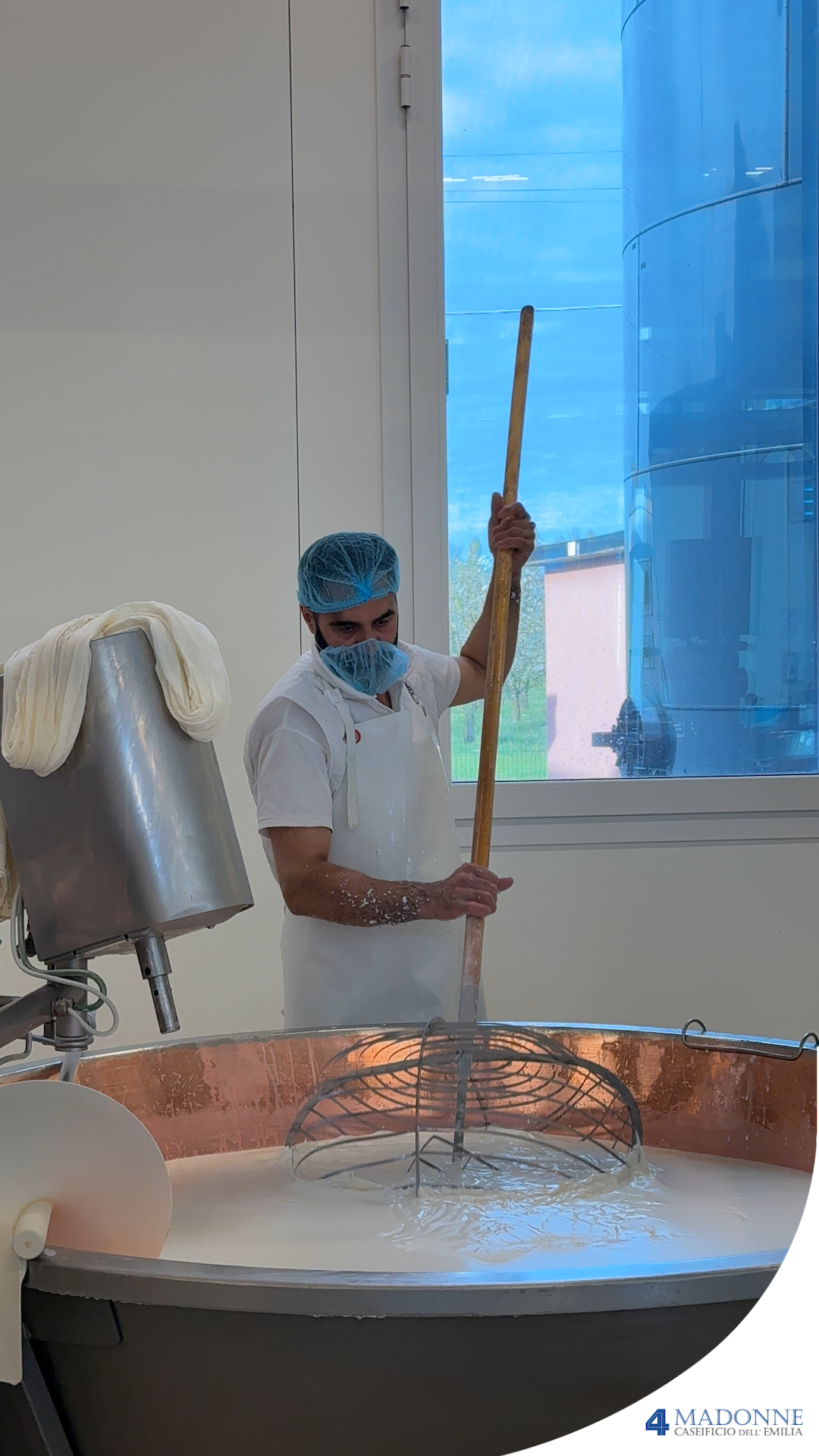 Forme di parmigiano reggiano in conservazione