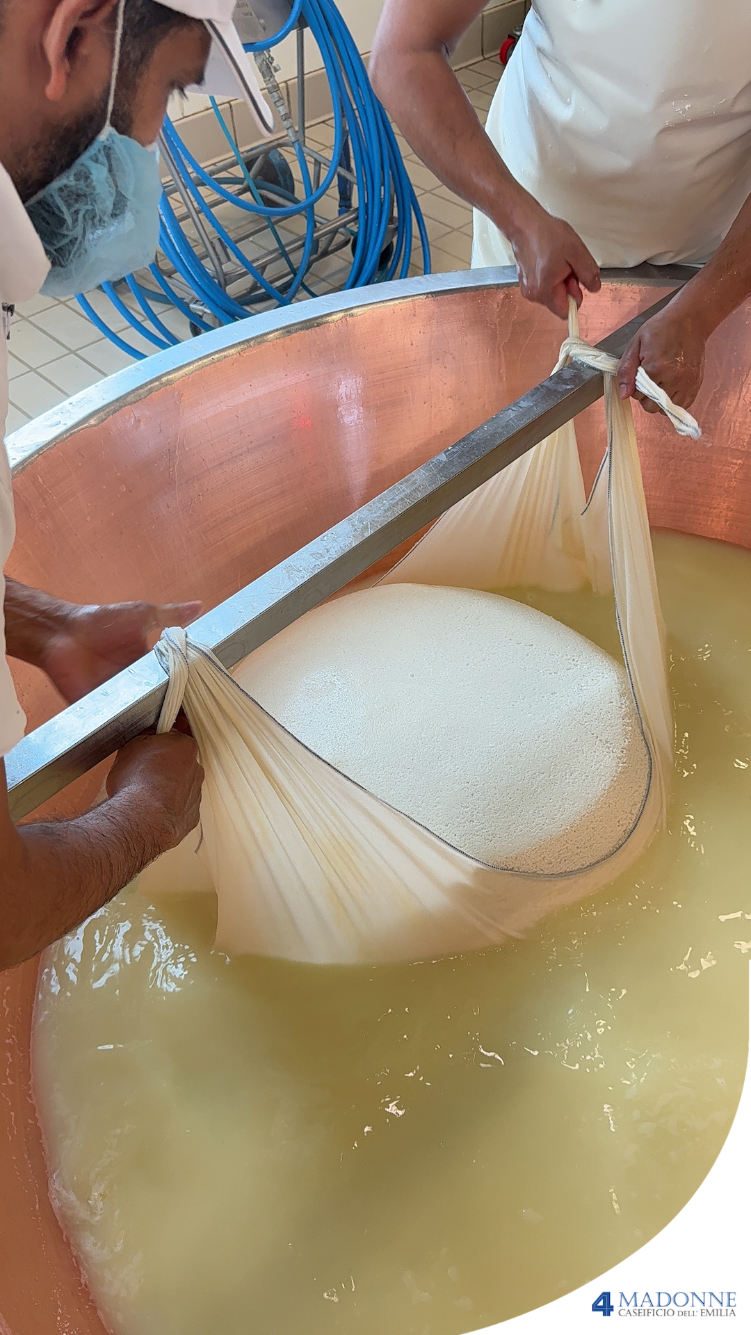 Forme di parmigiano reggiano in conservazione