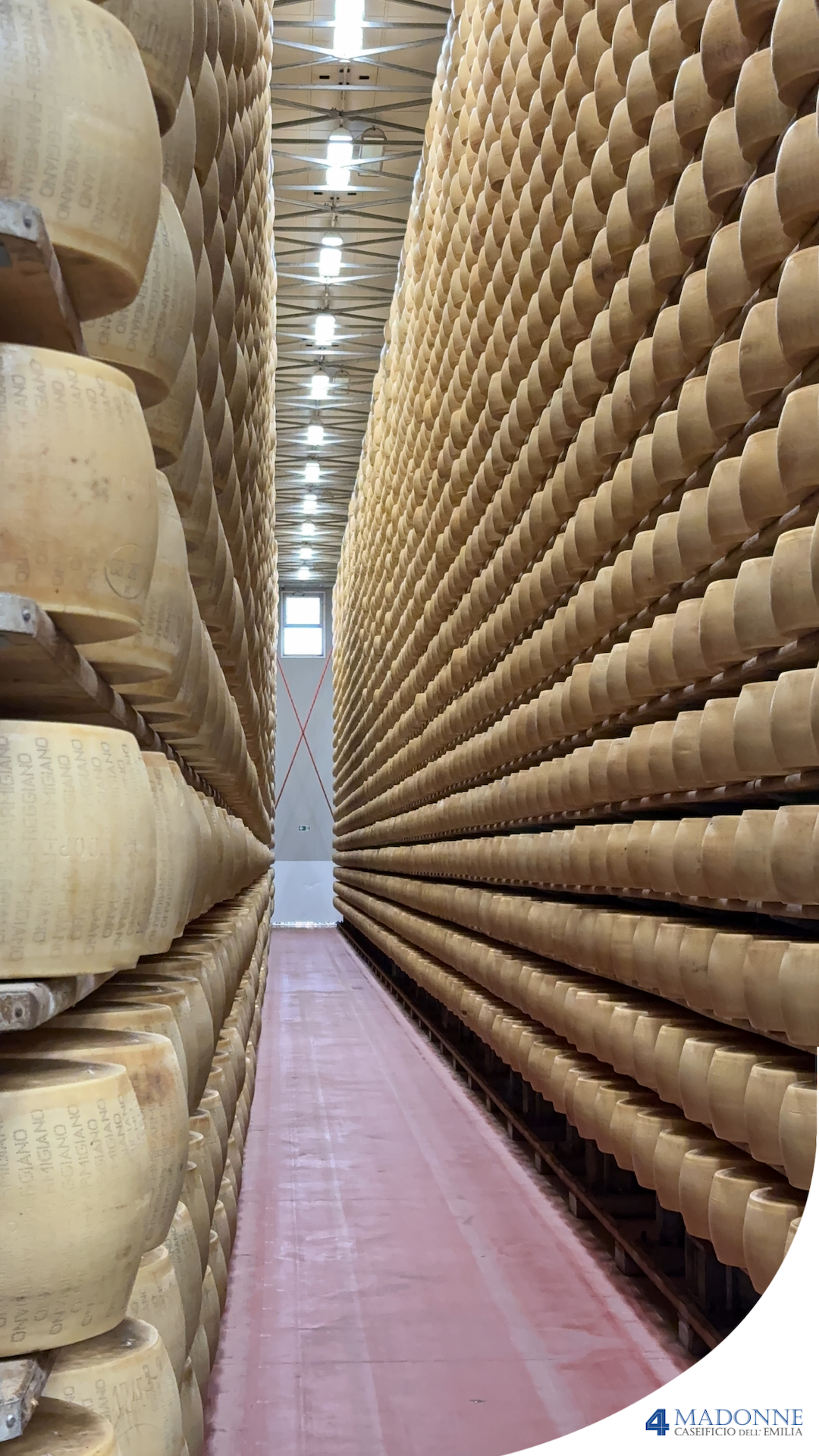 Forme di parmigiano reggiano in conservazione
