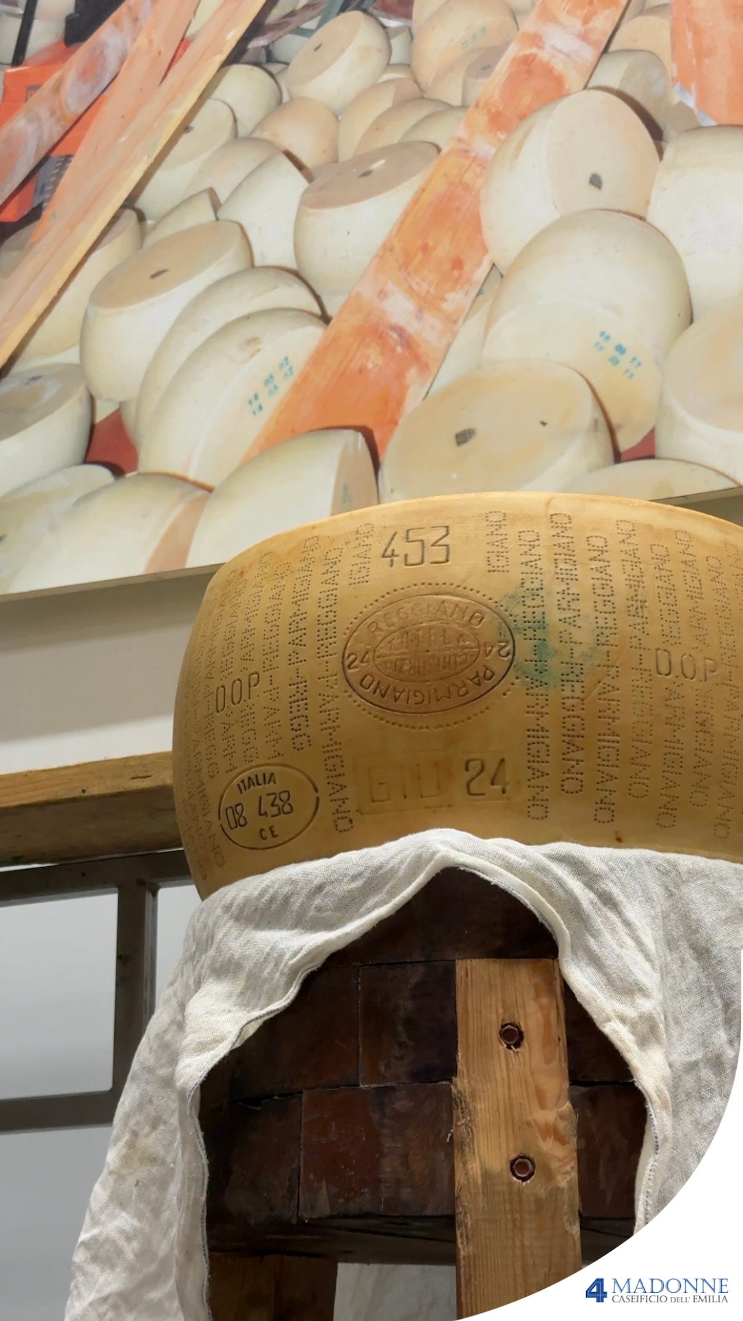 Forme di parmigiano reggiano in conservazione
